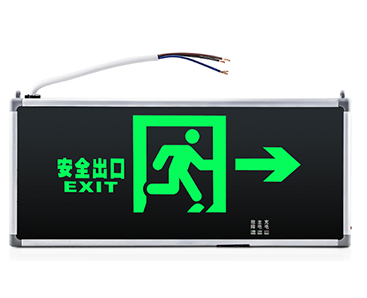 Emergency Exit Light